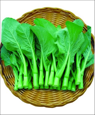  青翠菜心