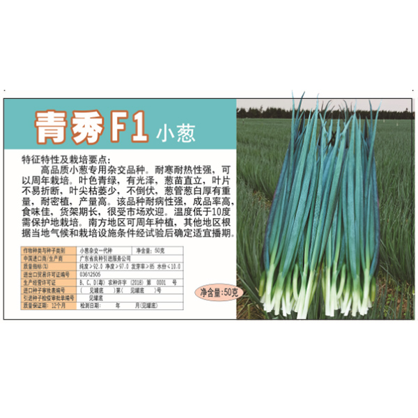 青秀F1小葱