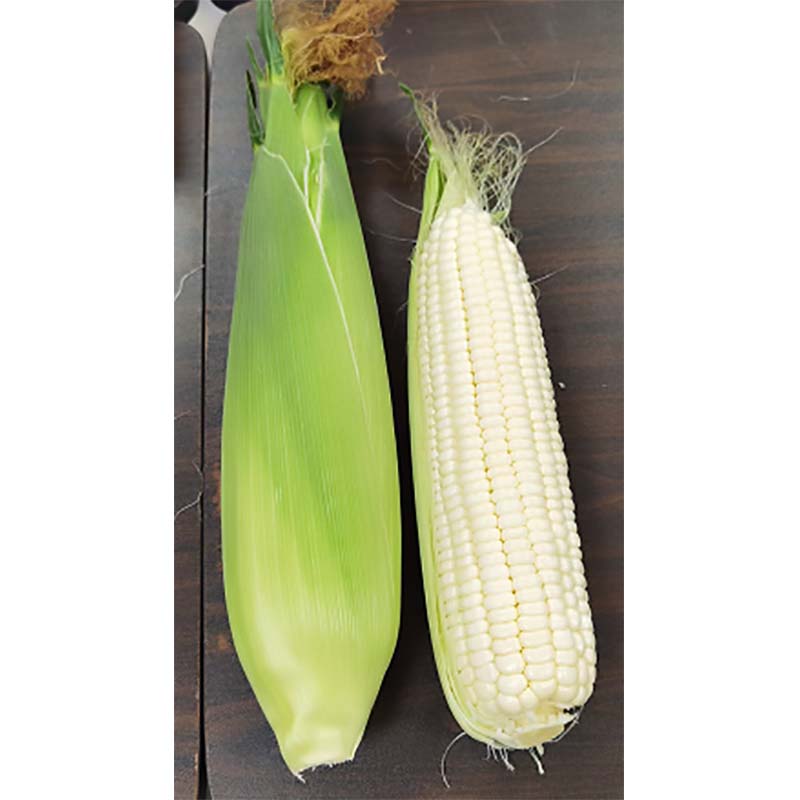 白甜65玉米