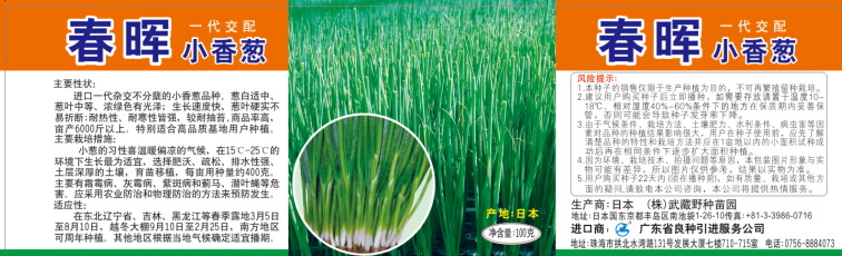  春晖小香葱