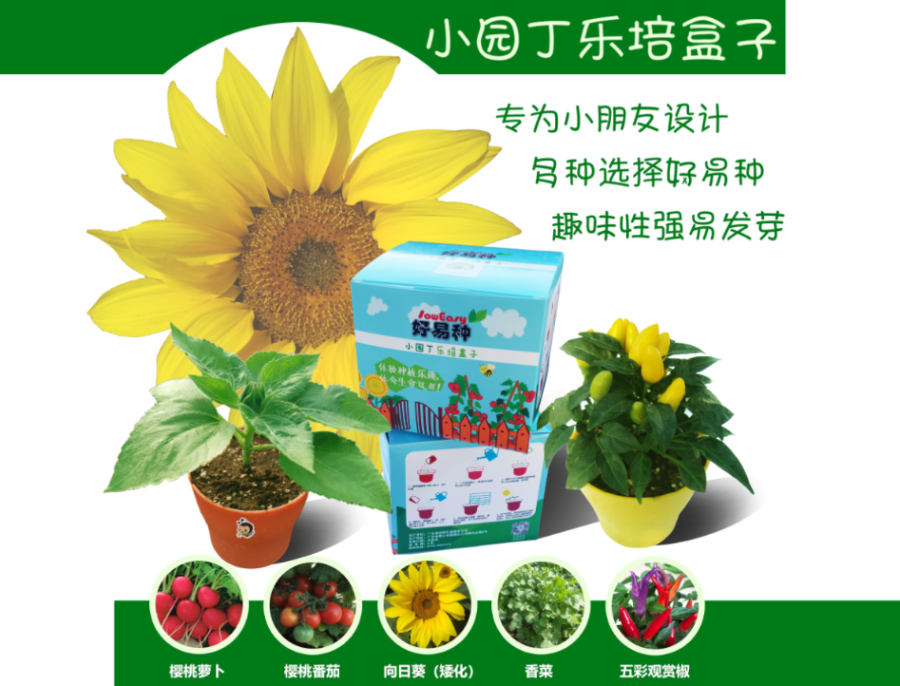 小园丁乐培盒子