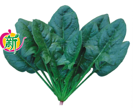 新世界M级菠菜