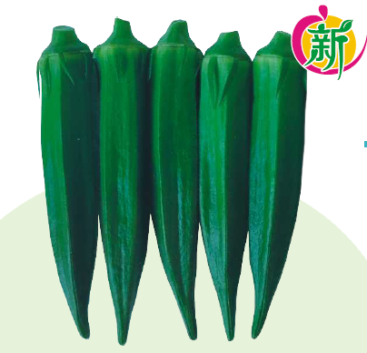 吉星水果秋葵（进口杂交）
