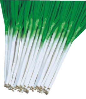 春赞晚抽一本大葱